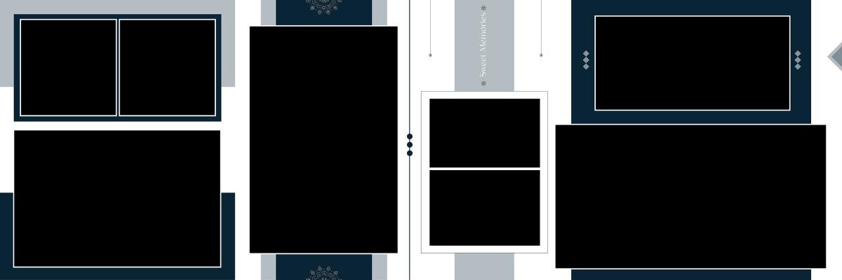 12X36( 150 FULL WEDDING ALBUMB SHEETS ALL FUCTION )